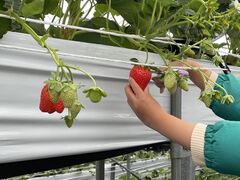 ���b�N�x�C�K�[�f���X�g���x���[�t�@�[���̎ʐ^1