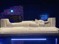 ACN �����Z�X�剤�W �t�@���I�����̉����̎ʐ^1