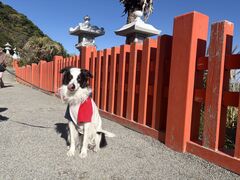 4�l�̂��[����񂳂�̉L�ː_�{�ւ̓��e�ʐ^1