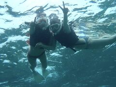 noa �{�Ó��̎ʐ^1