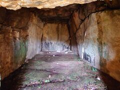 �������ԂƂ񂳂�̒��q�Õ��ւ̓��e�ʐ^1