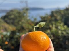 ���񂪂�A�O���p�[�N�̎ʐ^1