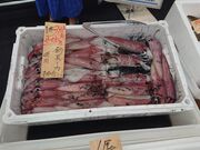 �������̂�߃^�E���l�c�̓��e�ʐ^3