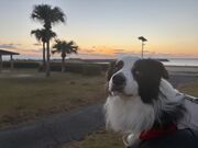 4�l�̂��[����񂳂�̈�c�t�C�݂̓��e�ʐ^1