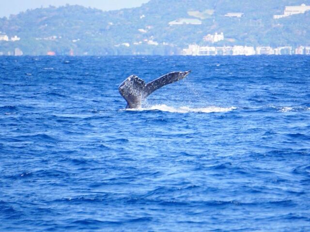 ���ۂ͎ʐ^�ȏ�ɔ��͂����_�ł�_TRY ANGLE