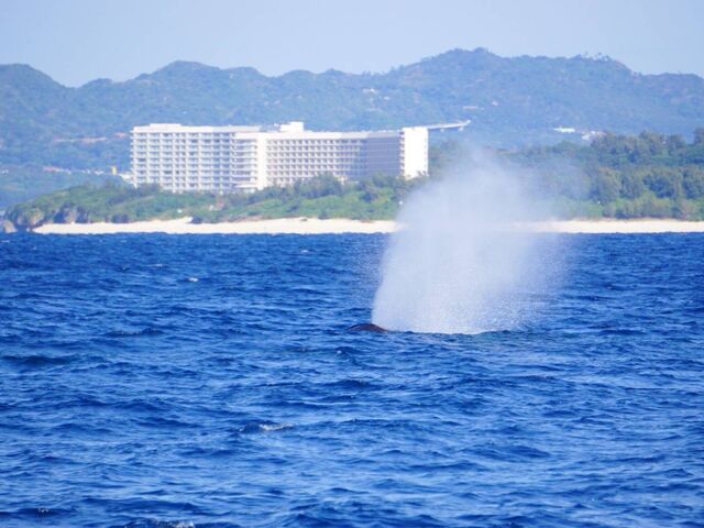 ��u�̂��Ԃ��Ŕ����ł���D�������X�^�b�t����͂������ł��I_TRY ANGLE