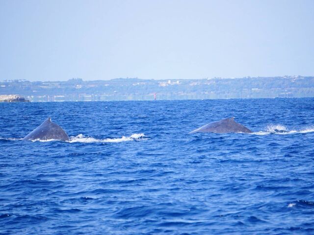 2���ŗV��ł�̂��ȁH�Ɩϑz���c��݂܂�����_TRY ANGLE