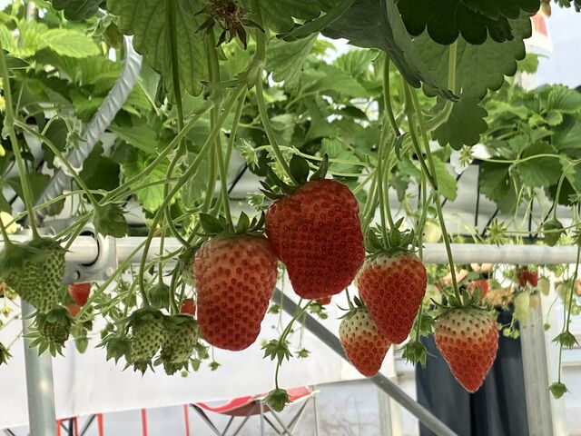 ���₷�������̂�����_���b�`�t�B�[���h�Ó�_��