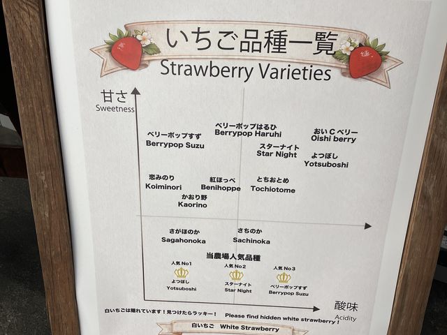 �������̎��_���b�`�t�B�[���h�Ó�_��