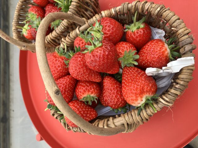 �߂��Ⴍ�����������_���b�`�t�B�[���h�Ó�_��