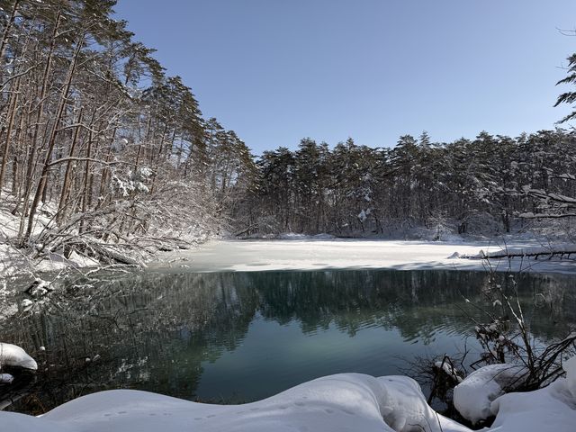 Andrea����̑]���΃J�k�[�Z���^�[�i�A�E�g�h�A�ƊG�{�̃y���V���������������j�̓��e�ʐ^3