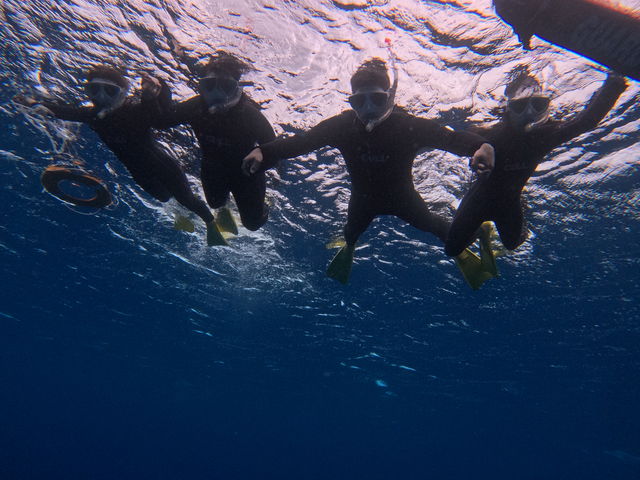 ����ł�݂����Ȏʐ^�ł��I_�Ί_����������V�[�T�[