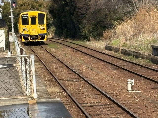 ���u���[����̓����S���i��O���w�j�̓��e�ʐ^1