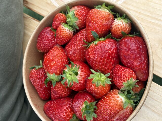 �����ȕi���䕂��I_Green Room