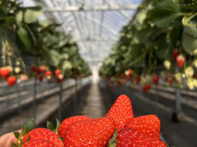 �^���ԂȂ�����60�H�ׂ܂����I_���ׂ�������