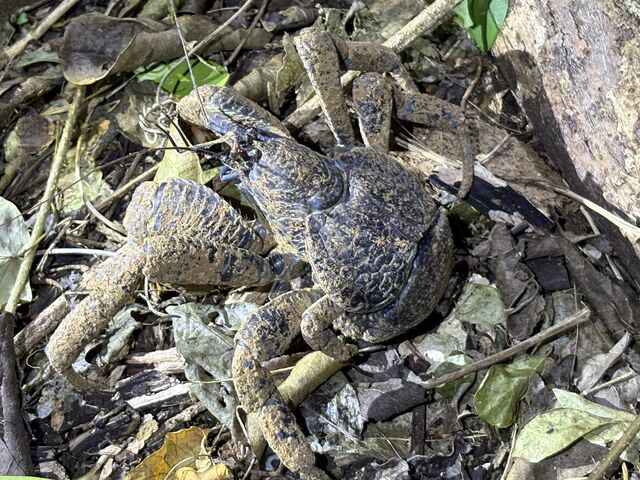 ���V�K�j�����_���C��