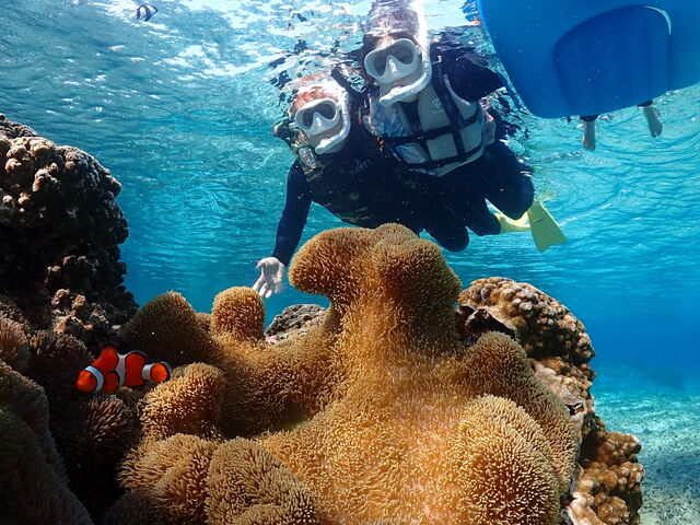 �J�N���N�}�m�~_MONKEY NAVY