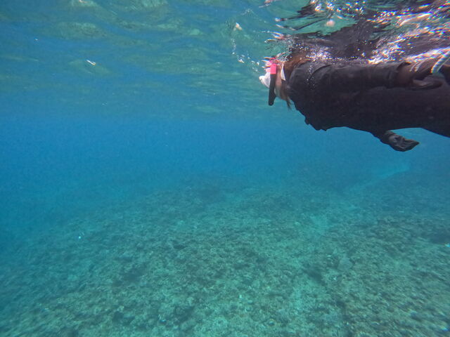 ���̂�������_marine service TINGALA