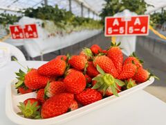 MARUHA RESORT �������̋u�̎ʐ^1