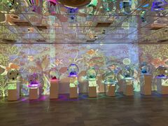 �ޗǋ����~���[�W�A��(NARA KINGYO MUSEUM)�̎ʐ^2