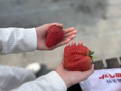 TAiSHi farm�̎ʐ^1