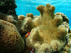 Nami�{�Ó��̎ʐ^1