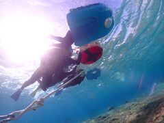 SUNSHINE MARIN �{�Ó��̎ʐ^1