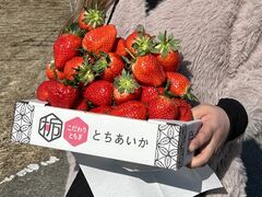 ������������ �n�ӂ̎ʐ^1