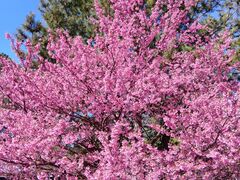 hiro����̃e���b�Z�I�����W�g�C�ւ̓��e�ʐ^1