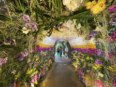 ������ЃZ�����A���u���[�̎ʐ^1