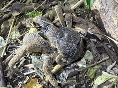 ���C�ʂ̎ʐ^1