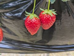 �����@�Ԃ�������߂̎ʐ^1