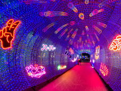 �C�J�r������̓����h�C�c���ւ̓��e�ʐ^1