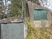 �����ڂ�����̕@������̓��e�ʐ^1