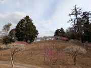 ��񂿂イ����̏C�P�����R�����~�т̓��e�ʐ^2