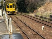 ���u���[����̓����S���i��O���w�j�̓��e�ʐ^1