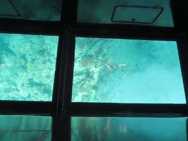 �܂��͂������邭��_�܂��͂������邭��