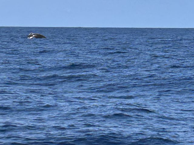 �����ŎB�ꂽ_TRY ANGLE