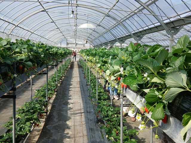 �S�̐}_�܌j�r�ӂ�`��