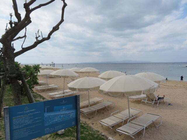 �t�T�L�r�[�`_�t�T�L�r�[�`