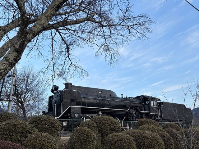 �u�̏��D51_���̊C