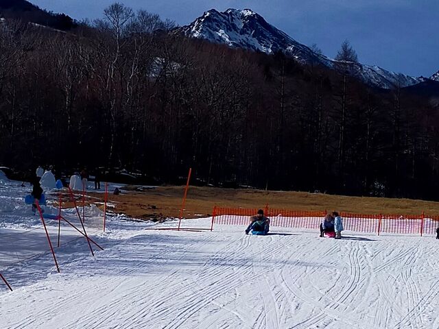 �\���V�т𖞋i_�T�����h�E�Y�@���E�����X�L�[��