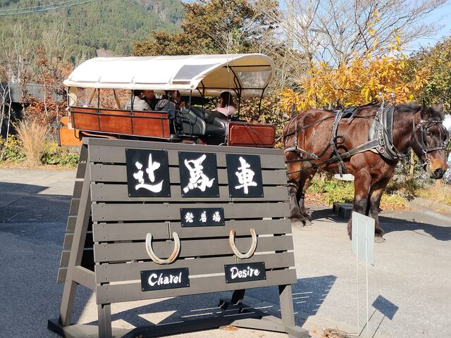 �R�z�@�ό��̒Ҕn��_�R�z�@�w