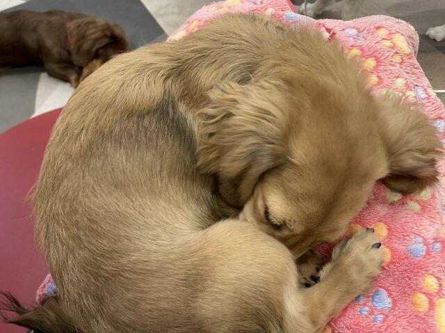 ������܂����I_���ʃJ�t�FRio ����X