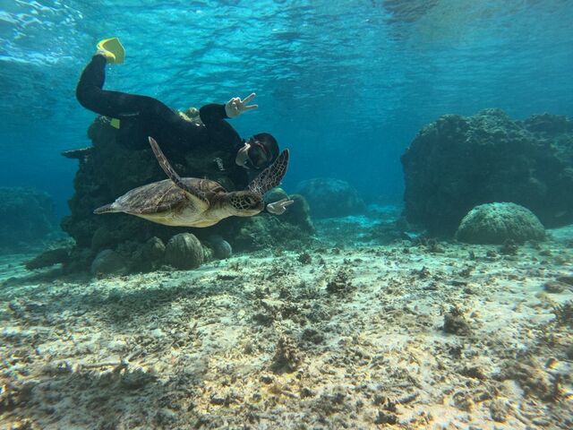 �E�~�K���Ƌ���_�}�[���{�Ó�