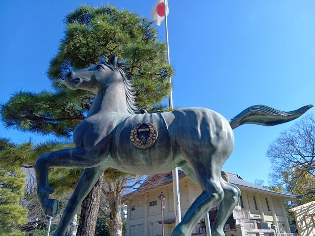 ���n����@_���X�_��