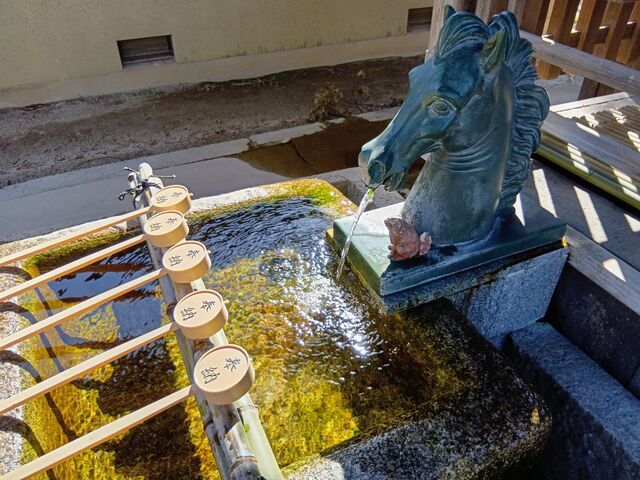 �����ɂ��A���n����A_���X�_��