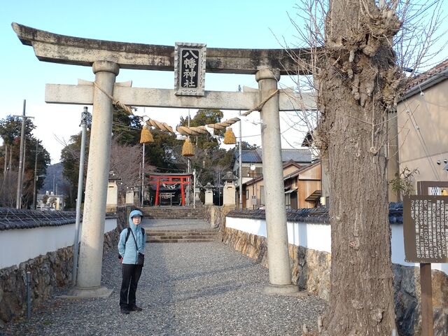 ���ǂ��e�ɗ��������X�������̈�̒���_��씪���_��