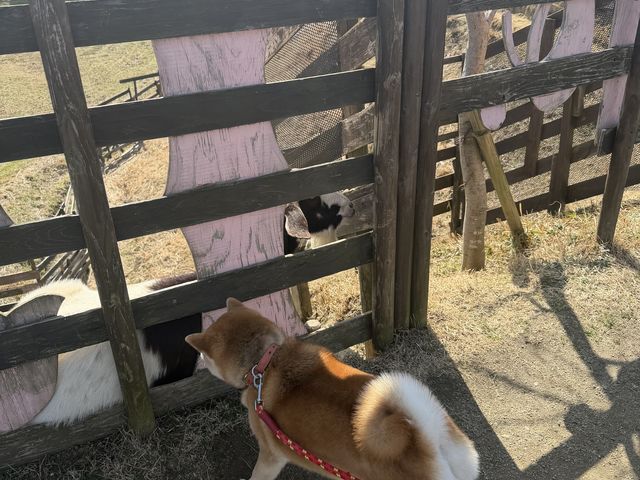 ��z���Ƀ��M������݂��_FARMER�fS BBQ by the Farm UNIVERSAL