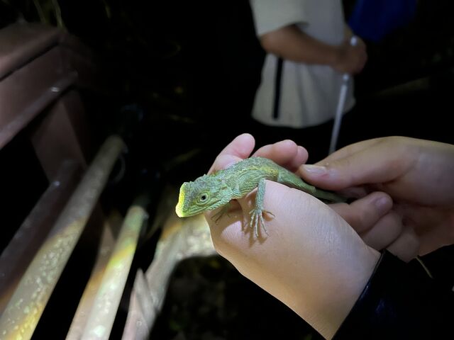 �������̎����L�m�{���g�J�Q_��[��[�����